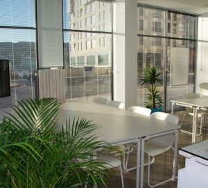 Quels bienfaits apporte la végétalisation d’un milieu professionnel ?