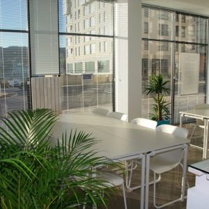 Quels bienfaits apporte la végétalisation d’un milieu professionnel ?
