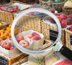 Quelles subventions pour un projet agroalimentaire