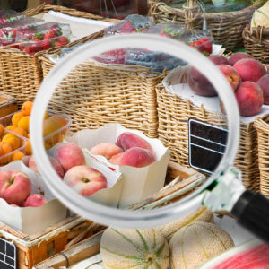 Quelles subventions pour un projet agroalimentaire