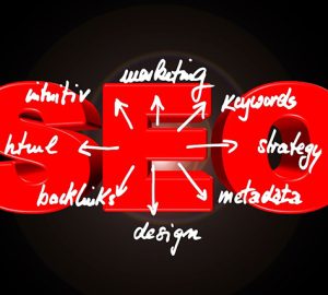 Netlinking SEO
